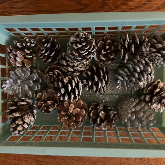 18 Small pinecones - Picture 1 of 3